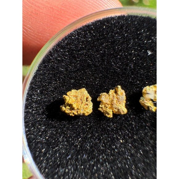 Small Arizona Gold Nuggets in Display Case - 0.15 grams - Picture 7 of 8